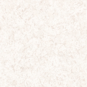 Овация2
